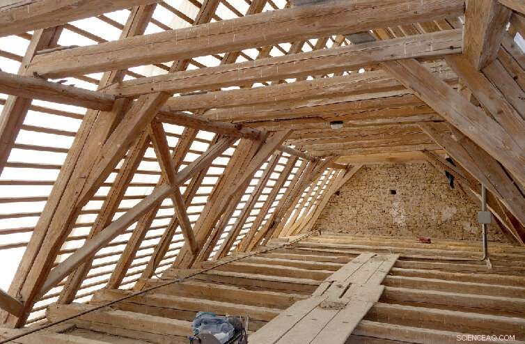 Europe s Economic History Revealed in Ancient Building Timber Data