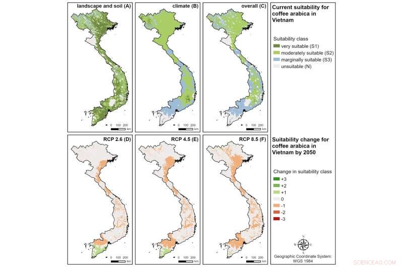 Climate Change Impacts on Crop Suitability: Coffee, Cashew & Avocado Regions