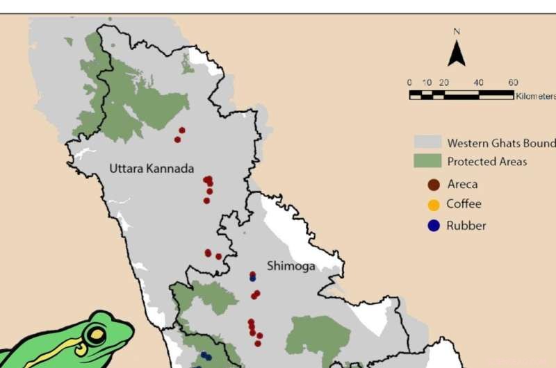 Agroforestry in Tropical Regions: A Haven for Amphibian Conservation