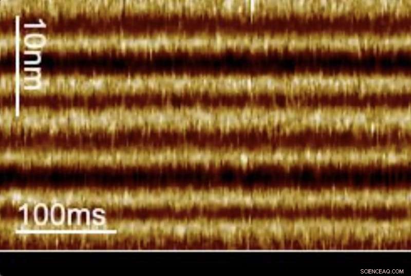 High-Speed Microscopy Reveals Biological Light Switch Mechanism