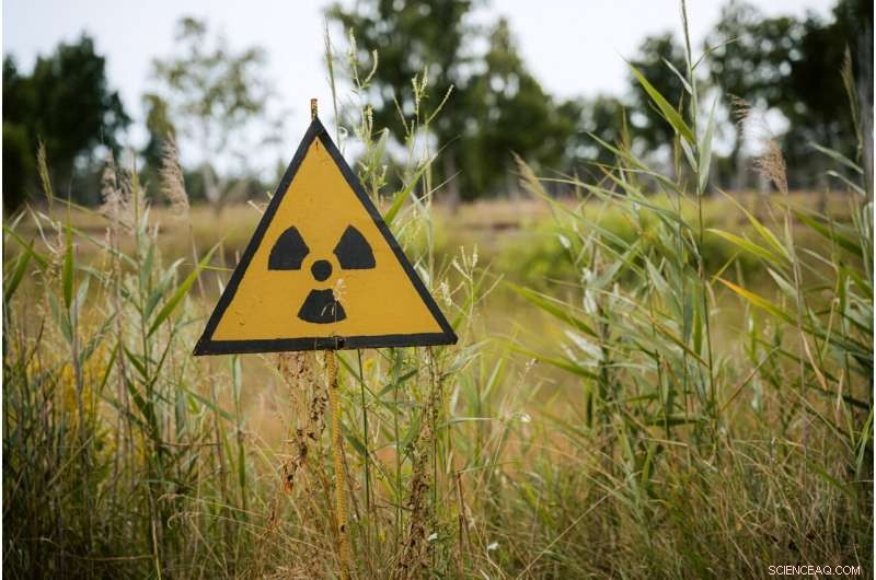 Chernobyl Radiation s Impact: New Genetic Mutation Insights