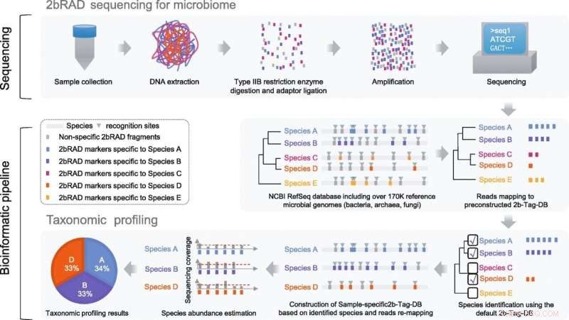 2bRAD-M: Novel Sequencing for Low-Biomass Microbiome Analysis