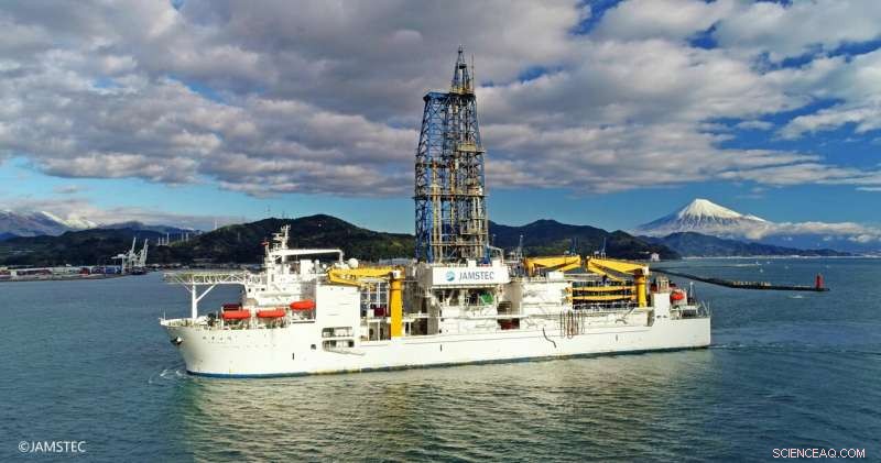 Deep-Sea Life Discovery: New Research on Organisms in Extreme Subseafloor Environments