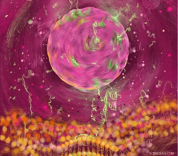 RNA-Lipid Interactions: Insights into Life s Origins and Modern Applications