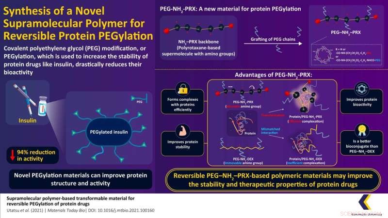 Novel Material Stabilizes Protein Drugs for Enhanced Efficacy