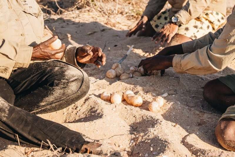Protecting Biodiversity: Empowering Indigenous Stewardship of Australia s Country