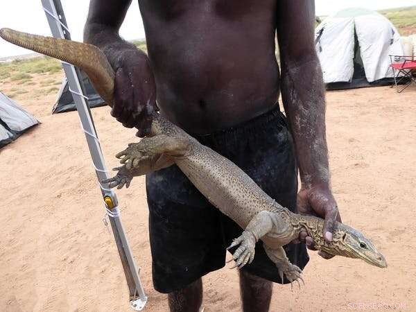 Protecting Biodiversity: Empowering Indigenous Stewardship of Australia s Country