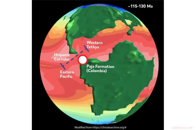 Ichthyosaur Evolution: How Continental Drift Fueled Giant Prey Consumption