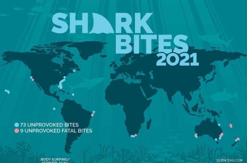 Shark Attacks Rebound: Global Data & Trends - 2021