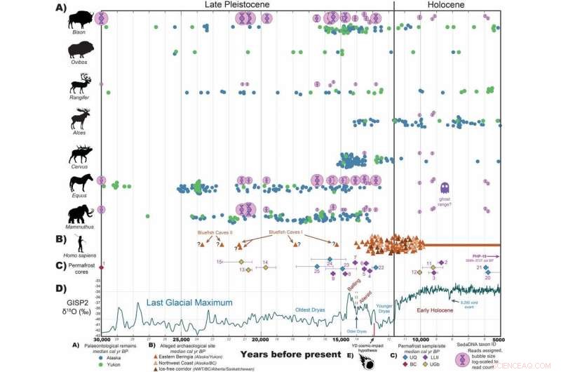 Woolly Mammoth DNA Reveals Recent Existence & Ecosystem Insights