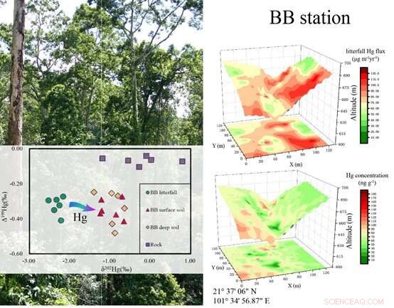 Mercury Accumulation in Tropical Forests: A Spatial Analysis