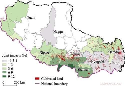 Climate Change & Tibetan Agriculture: Impact on Cereal Yields