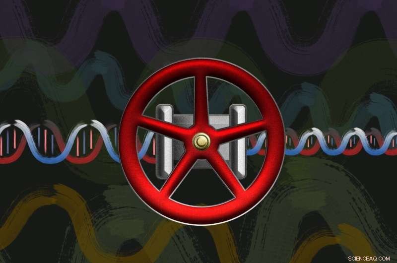 DNA Valves: Scientists Engineer Biological Controls for Information Flow