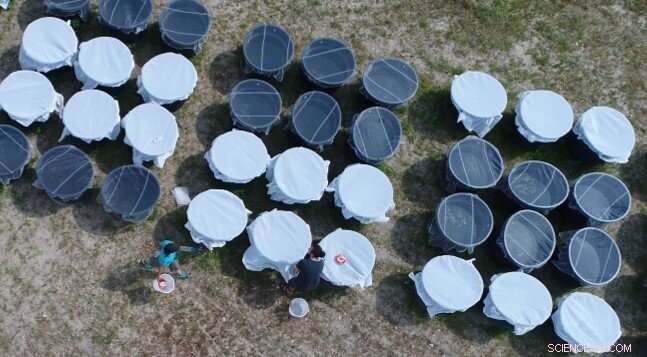 Impact of Size-Selective Fishing on Fish Populations & Ecosystems