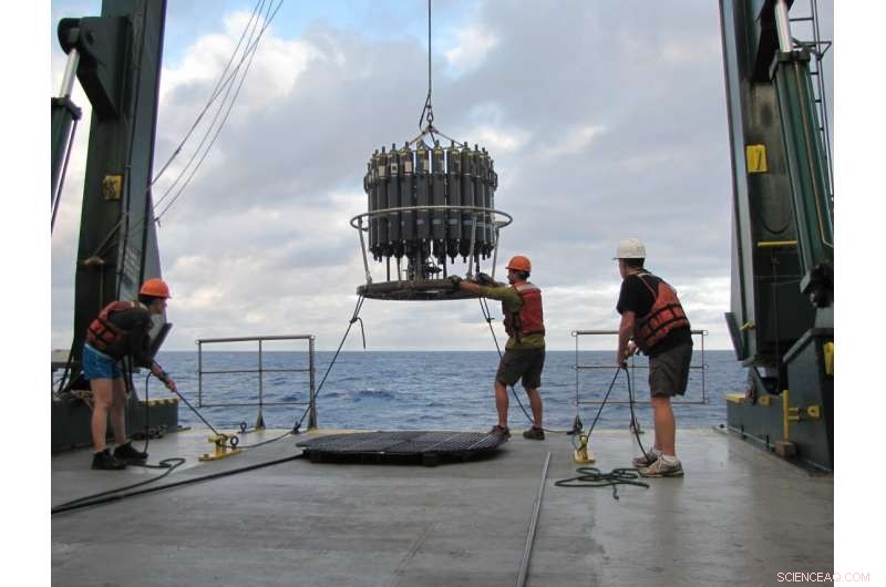 How Marine Microbes Adapt to Limited Ocean Resources with Shift Work