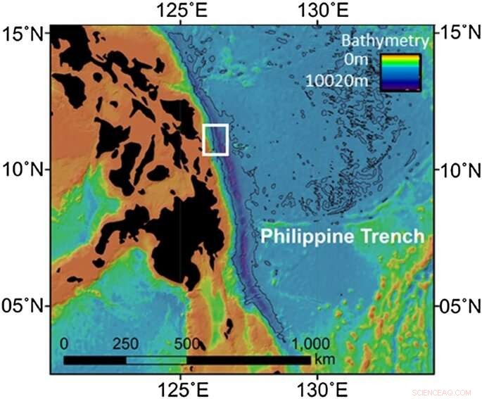 Record-Breaking Squid Discovered at Extreme Ocean Depths