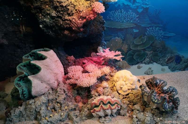 Marine Sponges: A Promising Source for Novel Drug Compounds