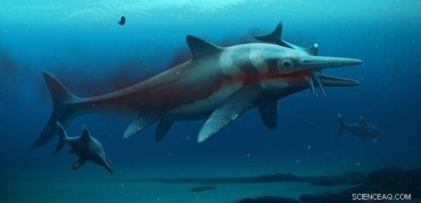 Jurassic Seas: Exploring the Giants – Plesiosaurs, Pliosaurs & Ichthyosaurs