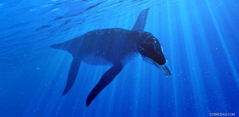 Jurassic Seas: Exploring the Giants – Plesiosaurs, Pliosaurs & Ichthyosaurs
