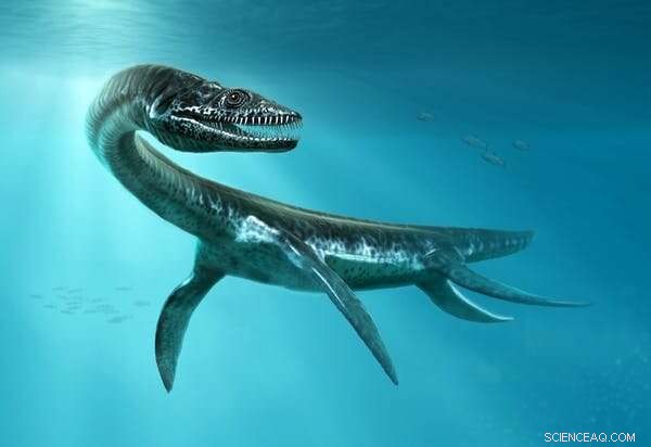 Jurassic Seas: Exploring the Giants – Plesiosaurs, Pliosaurs & Ichthyosaurs
