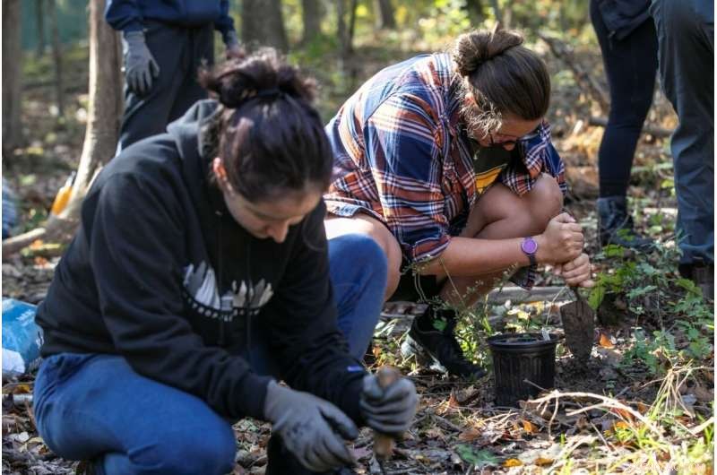 Honey & Pollen in Forensics: New Research at GMU Could Aid Crime Solving