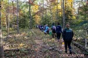 Honey & Pollen in Forensics: New Research at GMU Could Aid Crime Solving