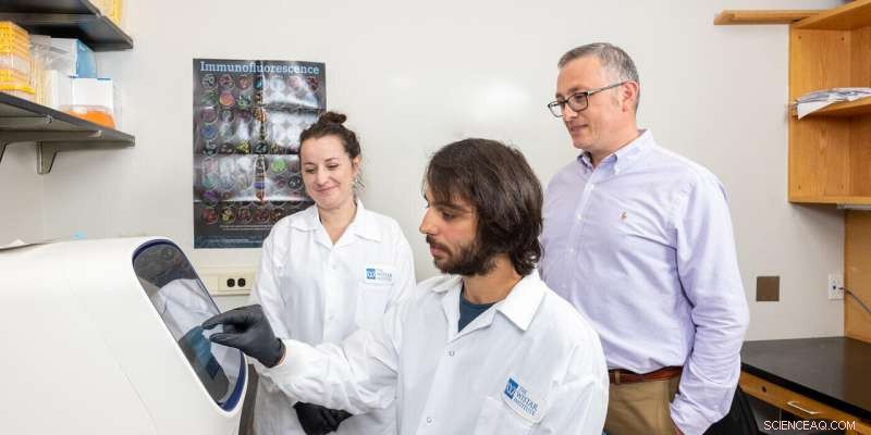 New Therapeutic Target Identified for Epstein-Barr Virus (EBV)