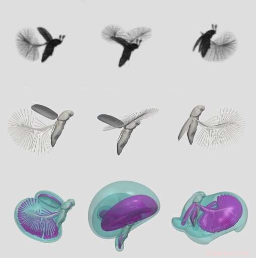 Unraveling the Secrets of Featherwing Beetle Flight: A New Aerodynamic Approach