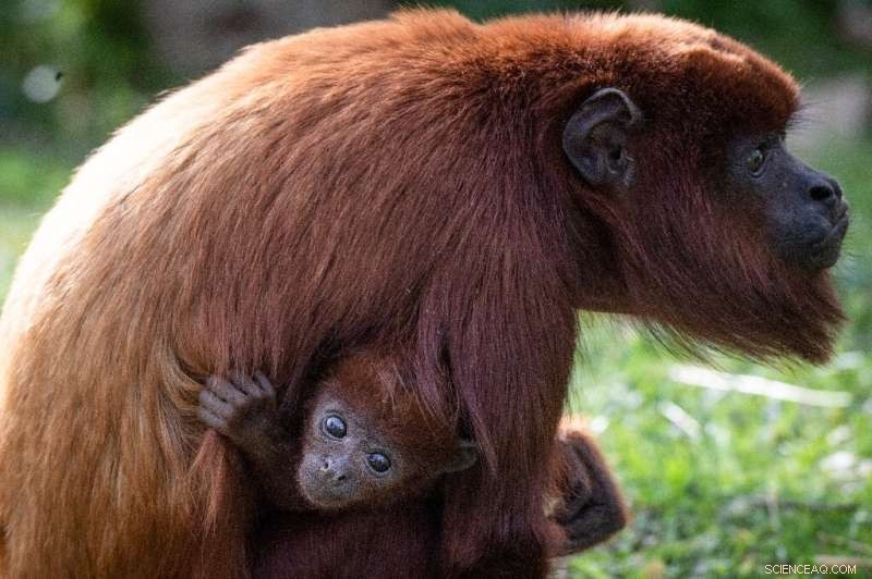 Biodiversity Crisis: Experts Say Protected Areas Alone Won t Suffice