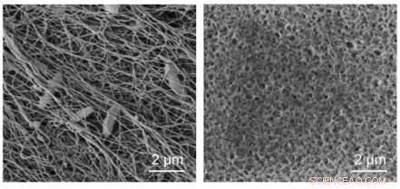 Kombucha Filters: A Superior Alternative to Traditional Water Filters?