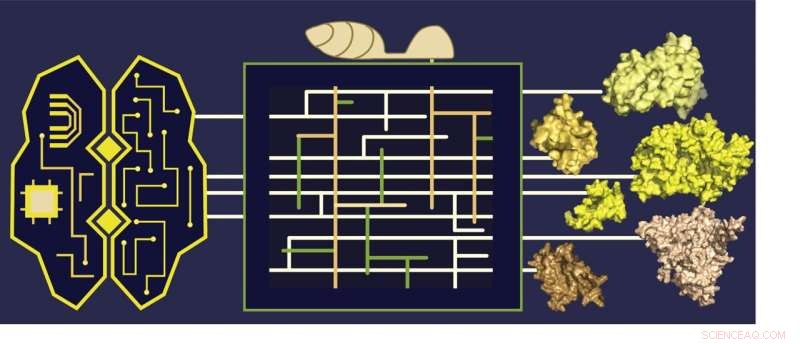 AI Predicts Structures of 500 Previously Unsolved Proteins, Advancing Plant Pathology Research