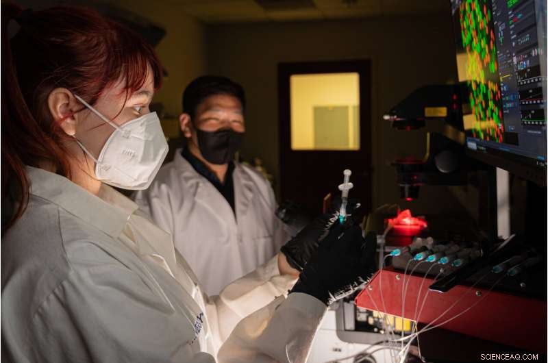 Rice University Breakthrough: Accelerating Antibiotic Resistance Research