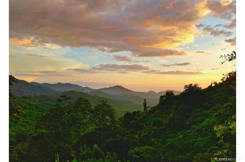 Genomics for Biodiversity Conservation in Colombia: The Earth Biogenome Project