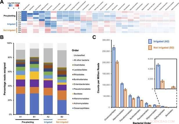 Using Beneficial Soil Insects for Sustainable Crop Disease Management