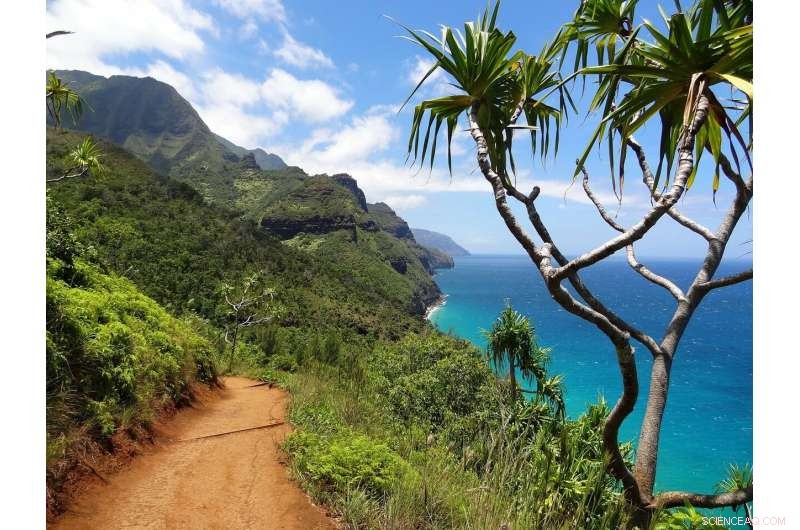 Indigenous Perspectives in Conservation Biology: New Research Collection