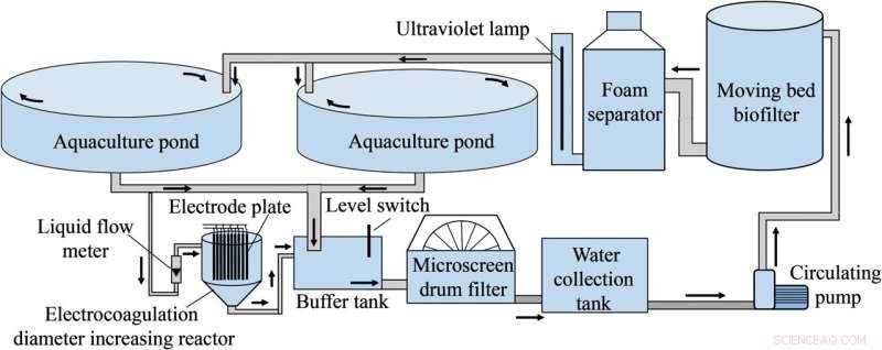 Electrocoagulation for Enhanced Microscreen Drum Filter Efficiency in Recirculating Aquaculture Systems