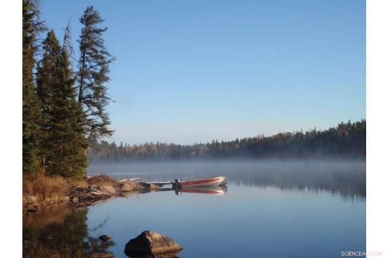 Aging vs. Getting Old: Understanding the Difference & Biological Insights