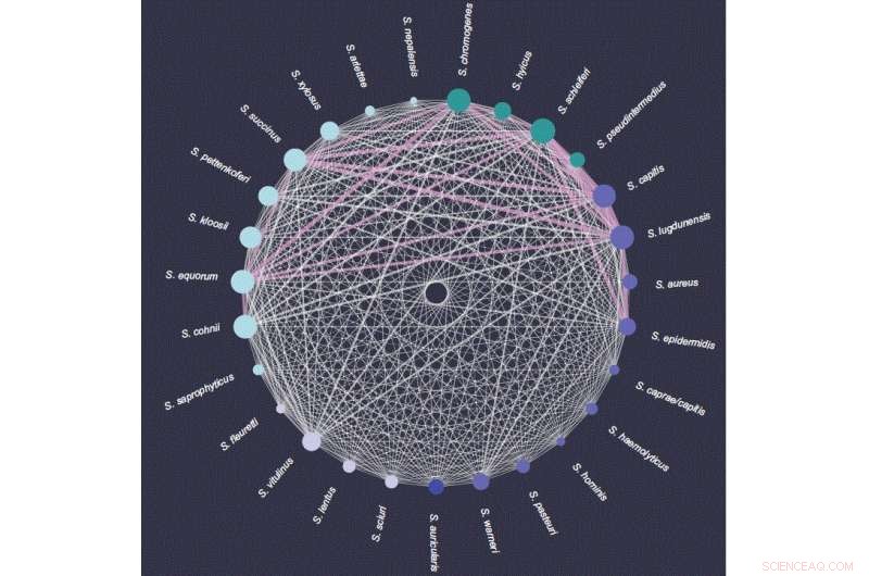 Phage Host Range: Challenging the Narrow Host Theory