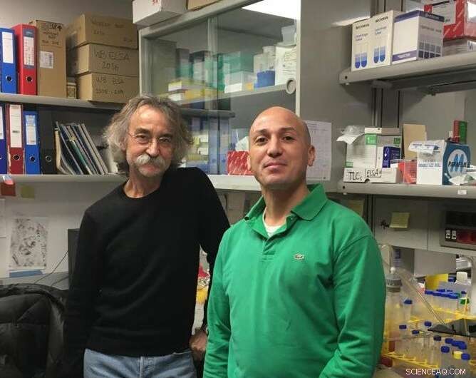 Understanding Cholesterol Cell Transport: A New Molecular Mechanism