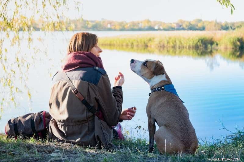 How Well Do Dogs Understand Human Language? - A Psychologist s Perspective