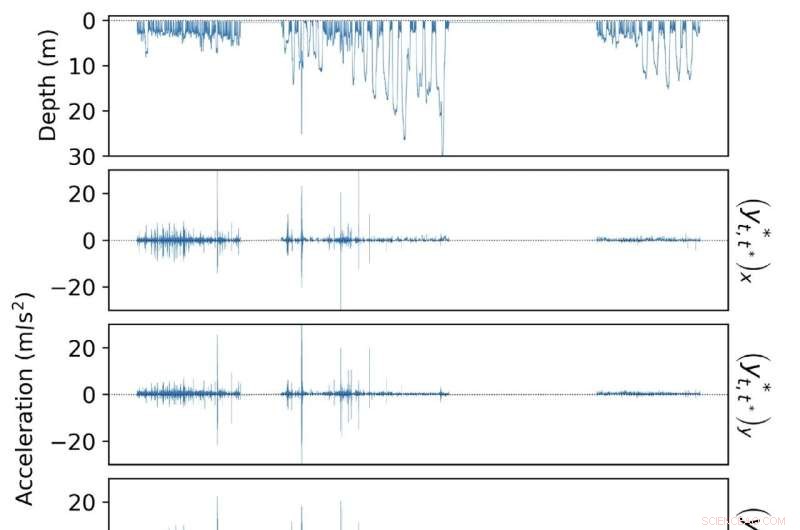 Advanced Models for Whale & Wildlife Conservation
