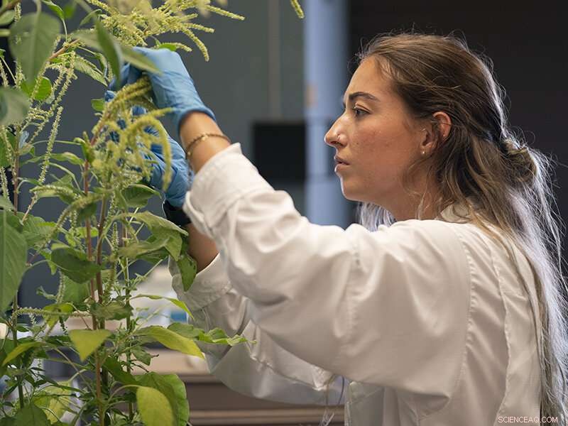 Combating Weed Resistance: Research Insights for a Changing Climate