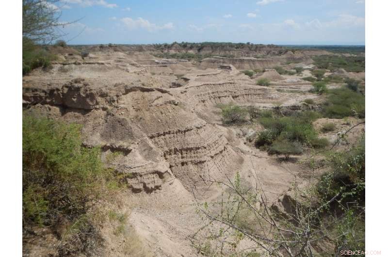 Ancient Human Fossil Re-dated: New Study Challenges Timeline