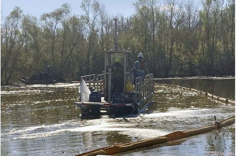 Diesel Spill Response: Rescued Alligators Receive Rehabilitation & Care