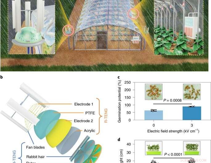 Electroculture Shows Promise for Boosting Crop Yields - Nature Food Study