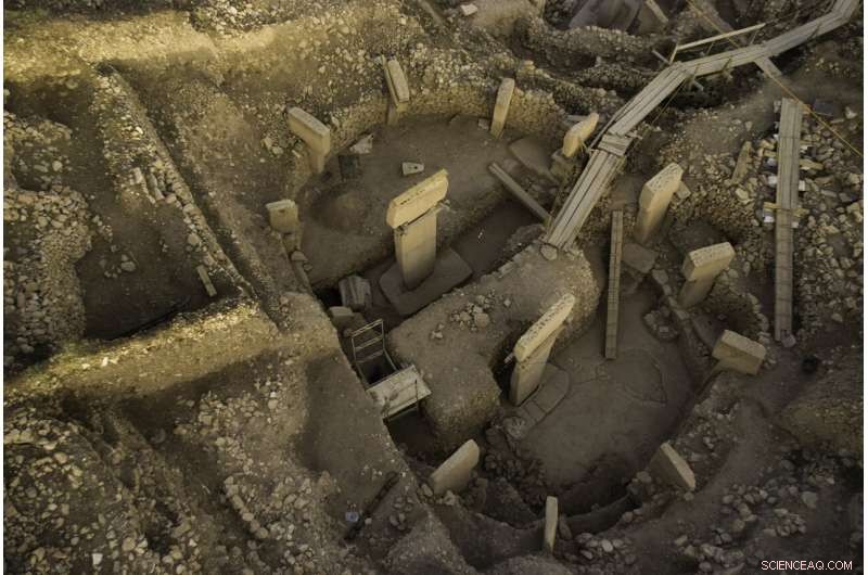 Ancient Hybrids: The Surprising History of War Asses