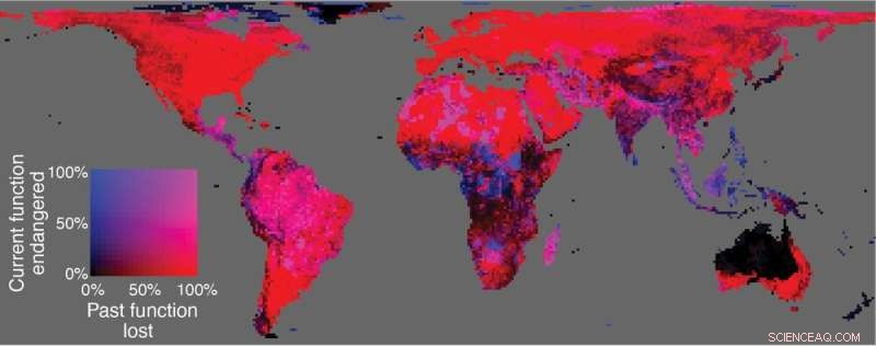 Seed Dispersal: How Animals Help Plants Adapt to Climate Change
