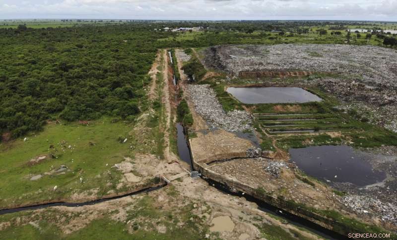 Plastic Pollution Threatens Sri Lanka s Elephants: Conservation Crisis