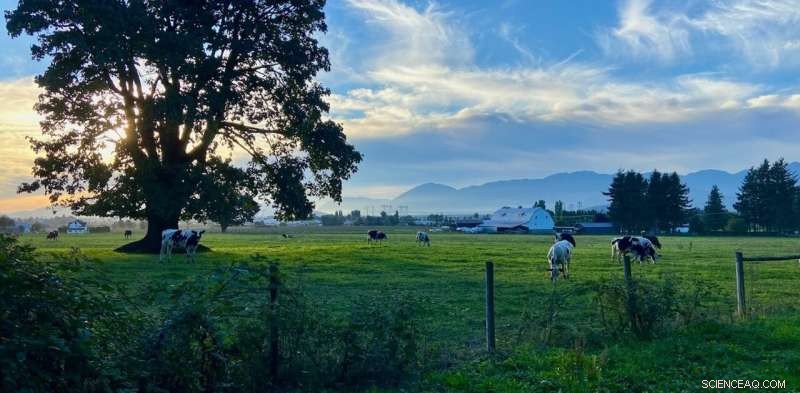 Cellular Agriculture: Revolutionizing Dairy Production & Supporting Farmers