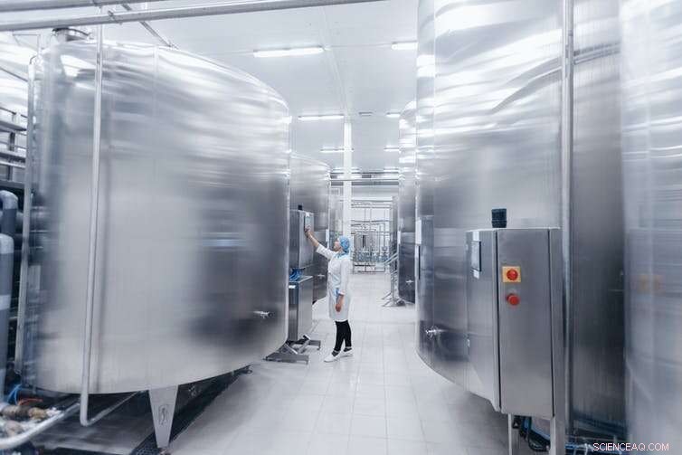 Cellular Agriculture: Revolutionizing Dairy Production & Supporting Farmers